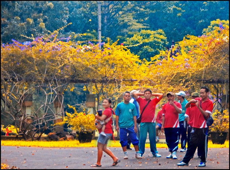 Jogging Di Kebun Raya Purwodadi  dutabetonmandiri